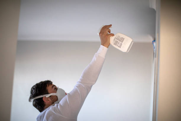 Water Damage Restoration in Vienna, IL