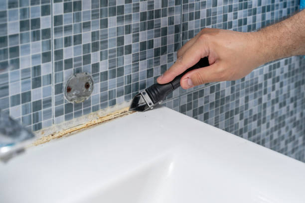 Best Fast Mold Removal  in Vienna, IL