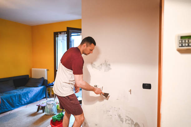 Best Commercial Mold Removal  in Vienna, IL
